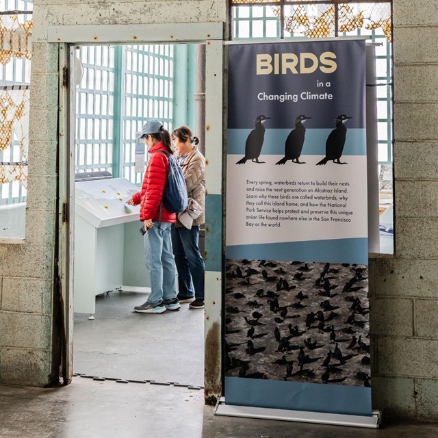 Two people stand, looking at a label in an exhibit titled 