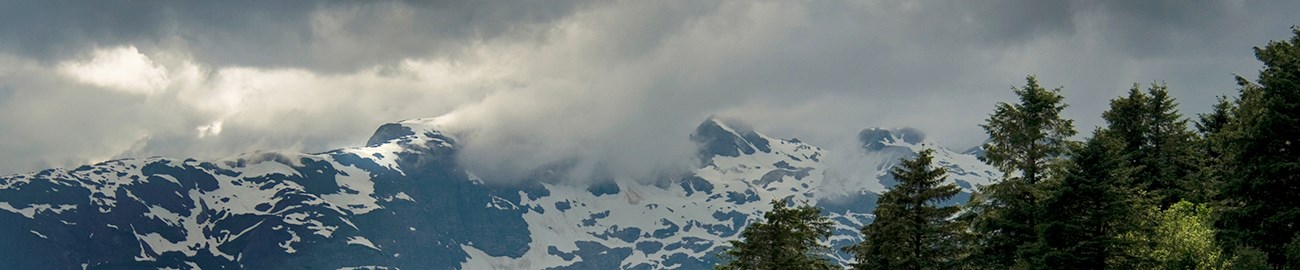 Alaskan forest Snow-capped mountains with evergreen forests in the foreground